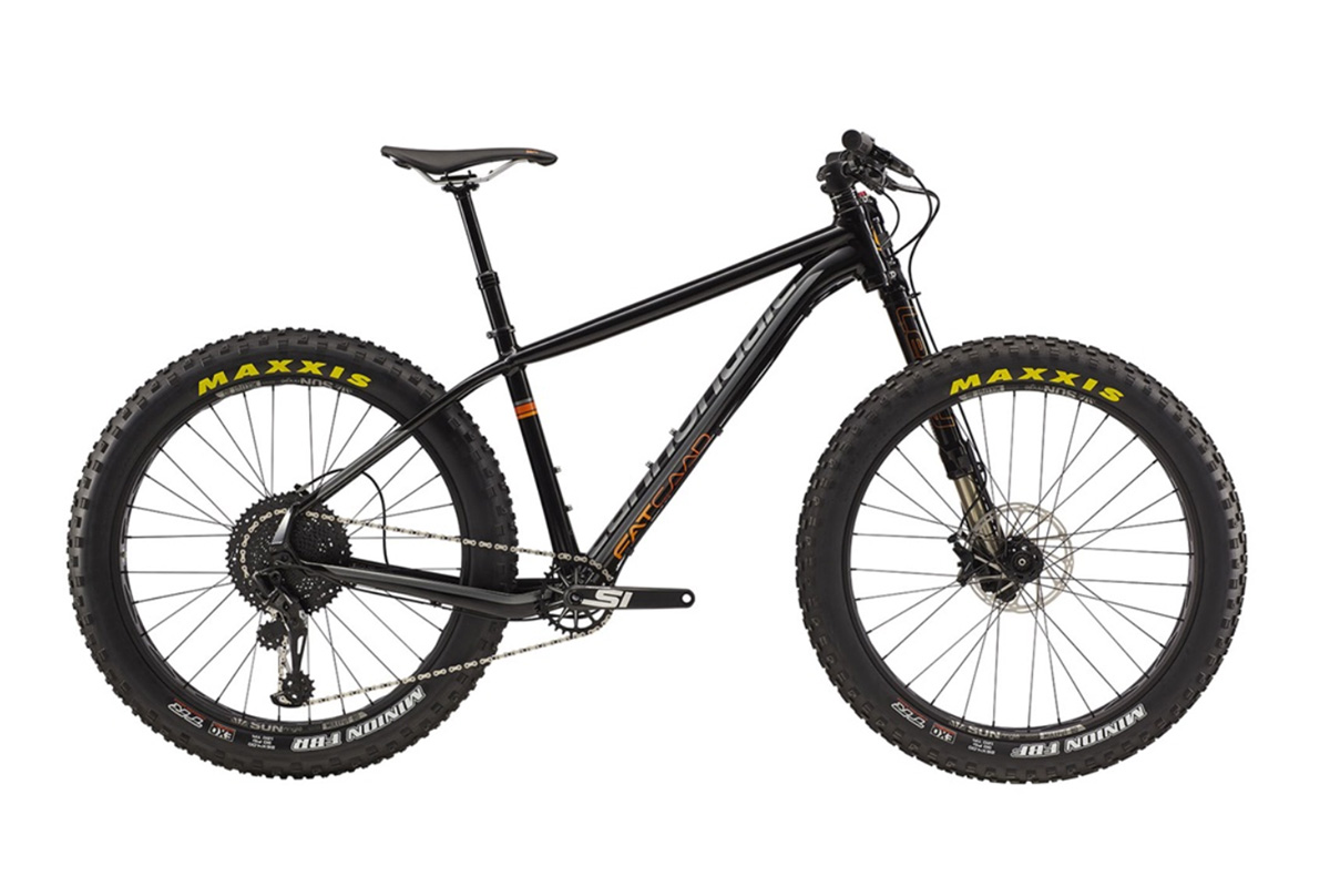 Cannondale Fat CAAD