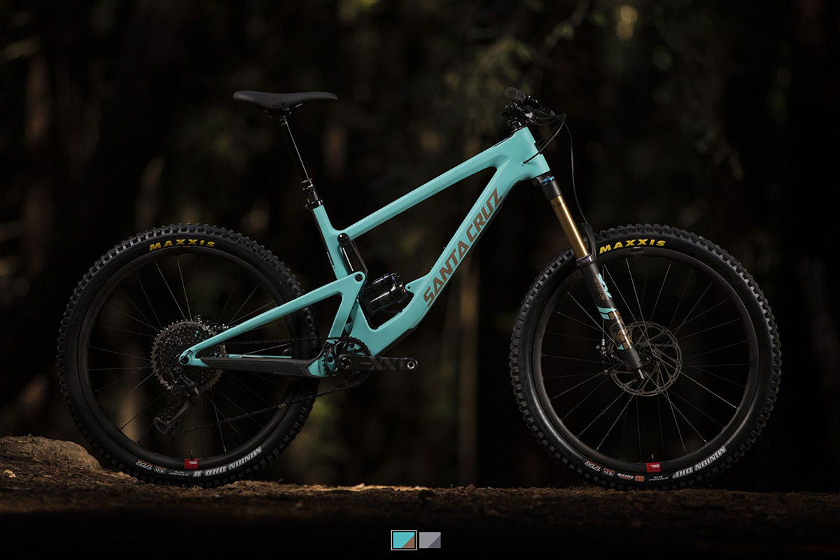 Santa Cruz Bronson